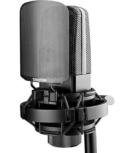 Amazon.com: TAKSTAR XLR Condenser Microphone with Shock Mount
